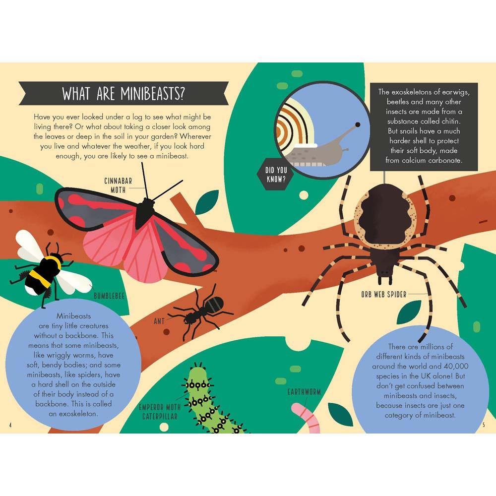 Out and About Minibeast Explorer (Hardback) (Nosy Crow) Nosy Crow