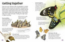 Nature Explorers - Butterflies and Moths DK UK