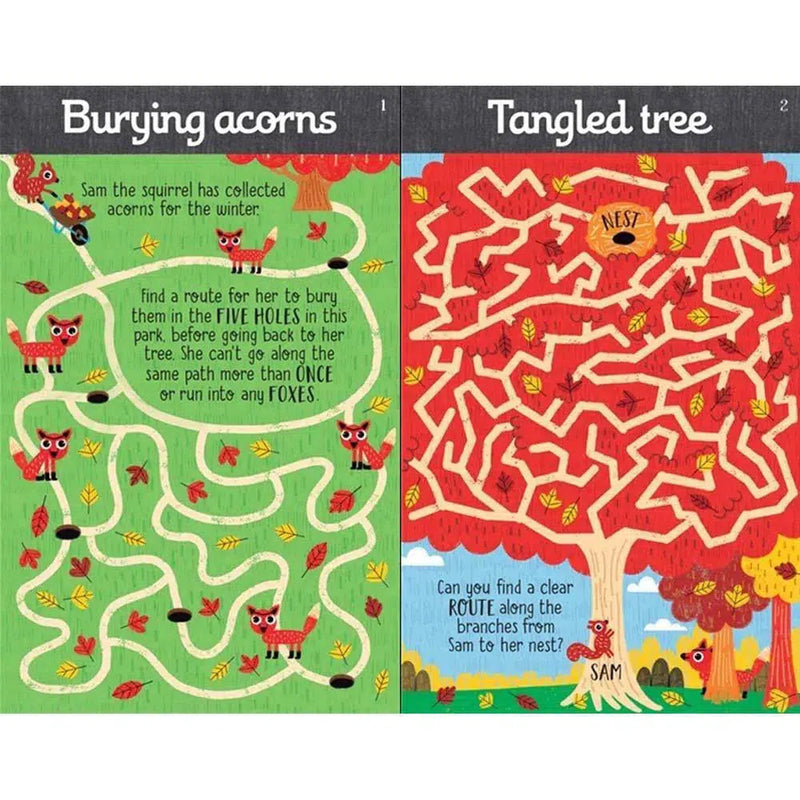 Never Get Bored Mazes (Wipe Clean) Usborne