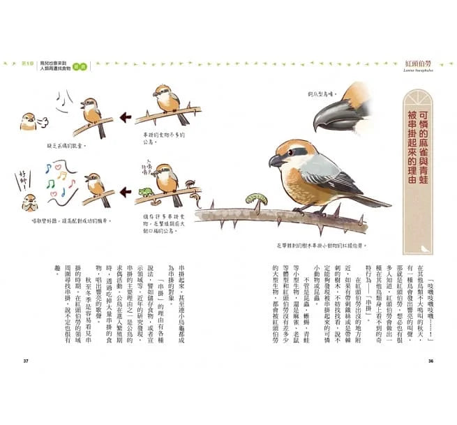 鳥類的機智都市生活 (一窺43種野鳥的逗趣百態)-非故事: 動物植物 Animal & Plant-買書書 BuyBookBook