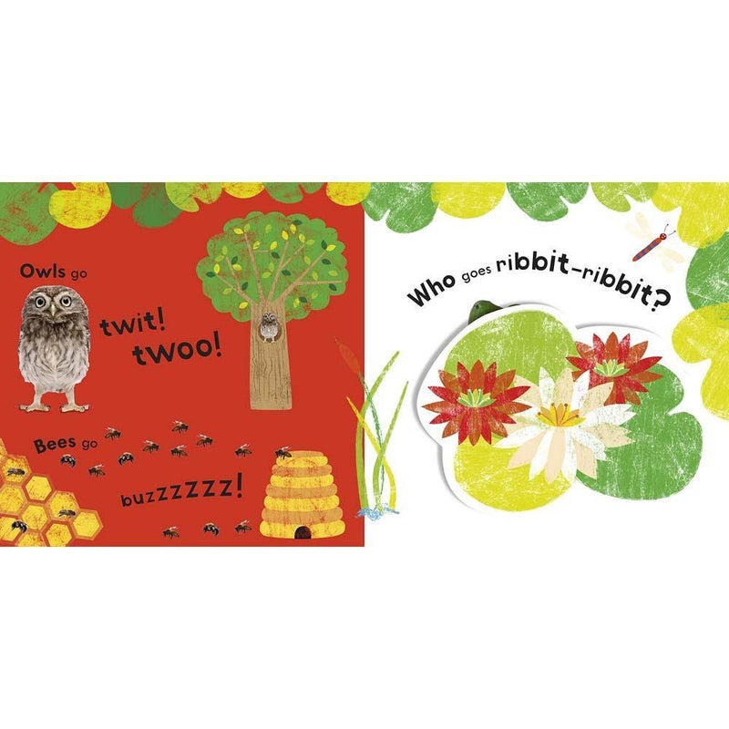 Noisy Animal Peekaboo! (Sound Board book) DK UK