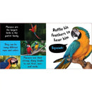 Noisy Animals (Touch and Feel Sound Board Book) PRHUS