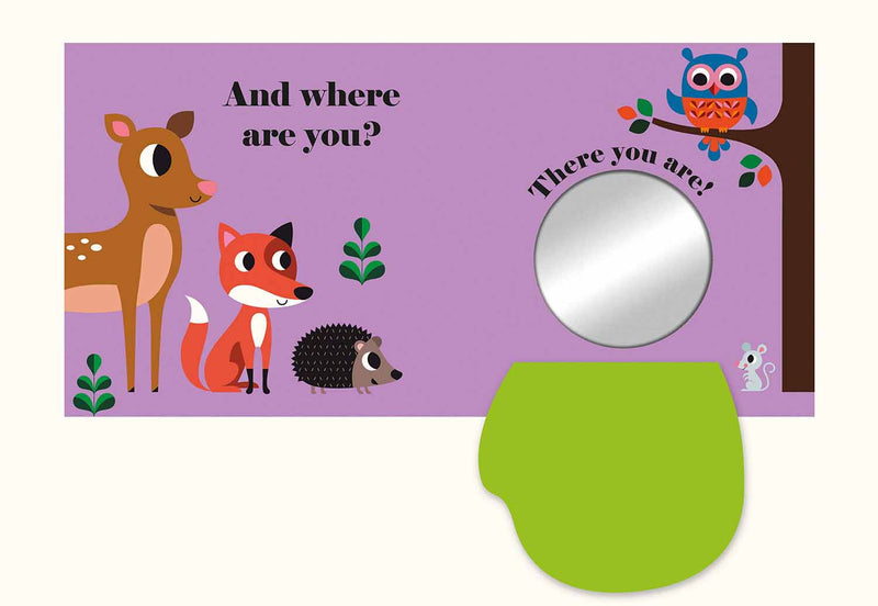 Nosy Crow Felt Flaps - Where's Mr Owl? (Board Book) Nosy Crow