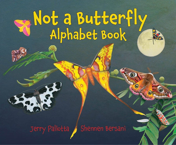 Not a Butterfly Alphabet Book-Children’s Early years / early learning concepts-買書書 BuyBookBook