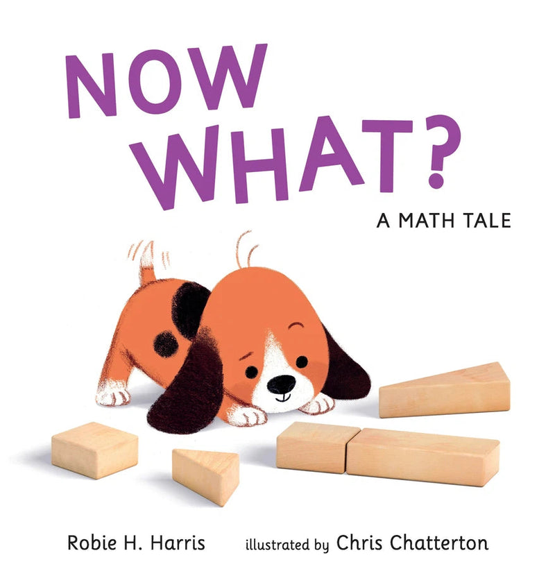 Now What? A Math Tale-Children’s / Teenage general interest: Places and peoples-買書書 BuyBookBook