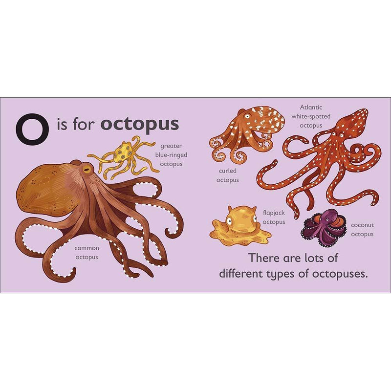 O is for Octopus (Board book) DK UK