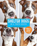 Shelter Dogs in a Photo Booth-Photography and photographs-買書書 BuyBookBook