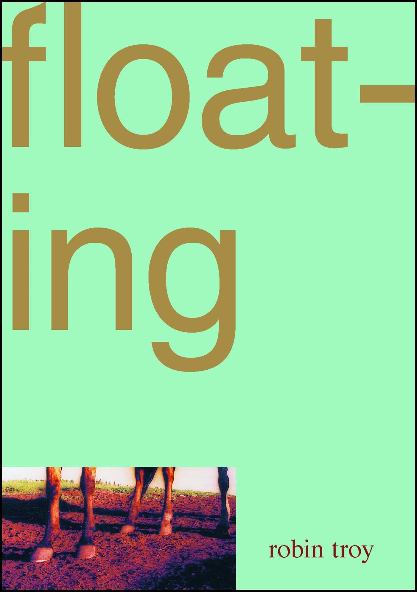 Floating-Fiction: Modern and contemporary-買書書 BuyBookBook