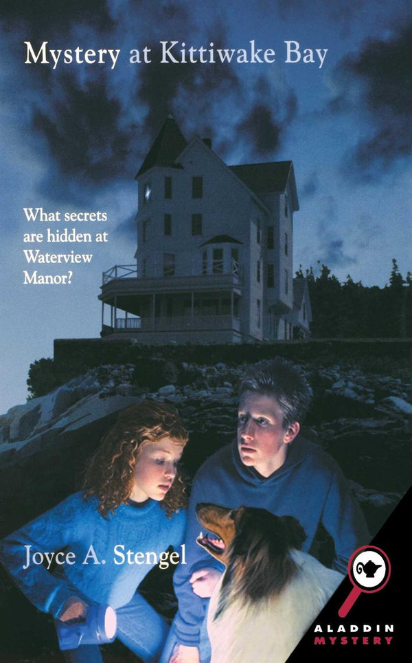 Mystery at Kittiwake Bay-Children’s / Teenage fiction: General and modern fiction-買書書 BuyBookBook