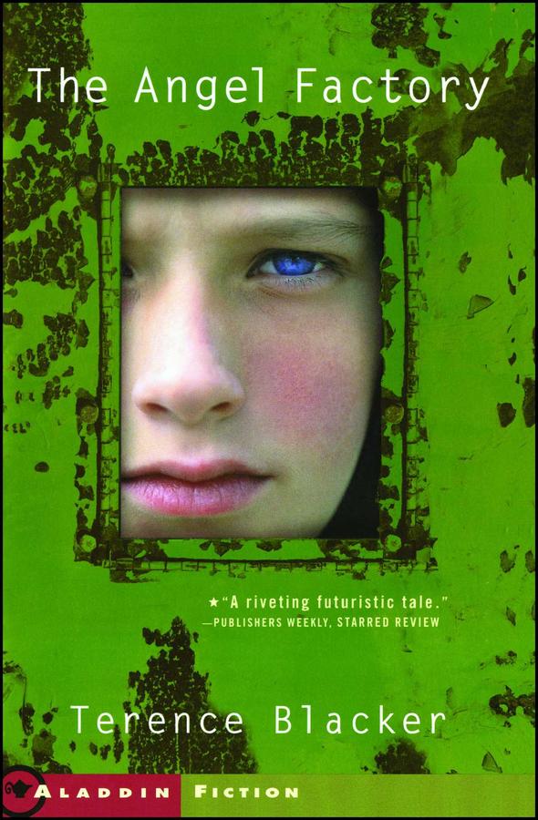 The Angel Factory-Children’s / Teenage fiction: Action and adventure stories-買書書 BuyBookBook