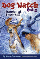 Danger at Snow Hill-Children’s / Teenage fiction: General and modern fiction-買書書 BuyBookBook