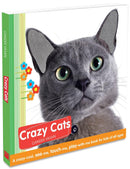Crazy Cats-Children’s / Teenage fiction: Action and adventure stories-買書書 BuyBookBook