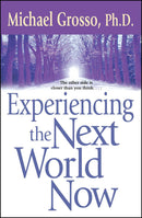 Experiencing the Next World Now-Mind/ body/ spirit-買書書 BuyBookBook