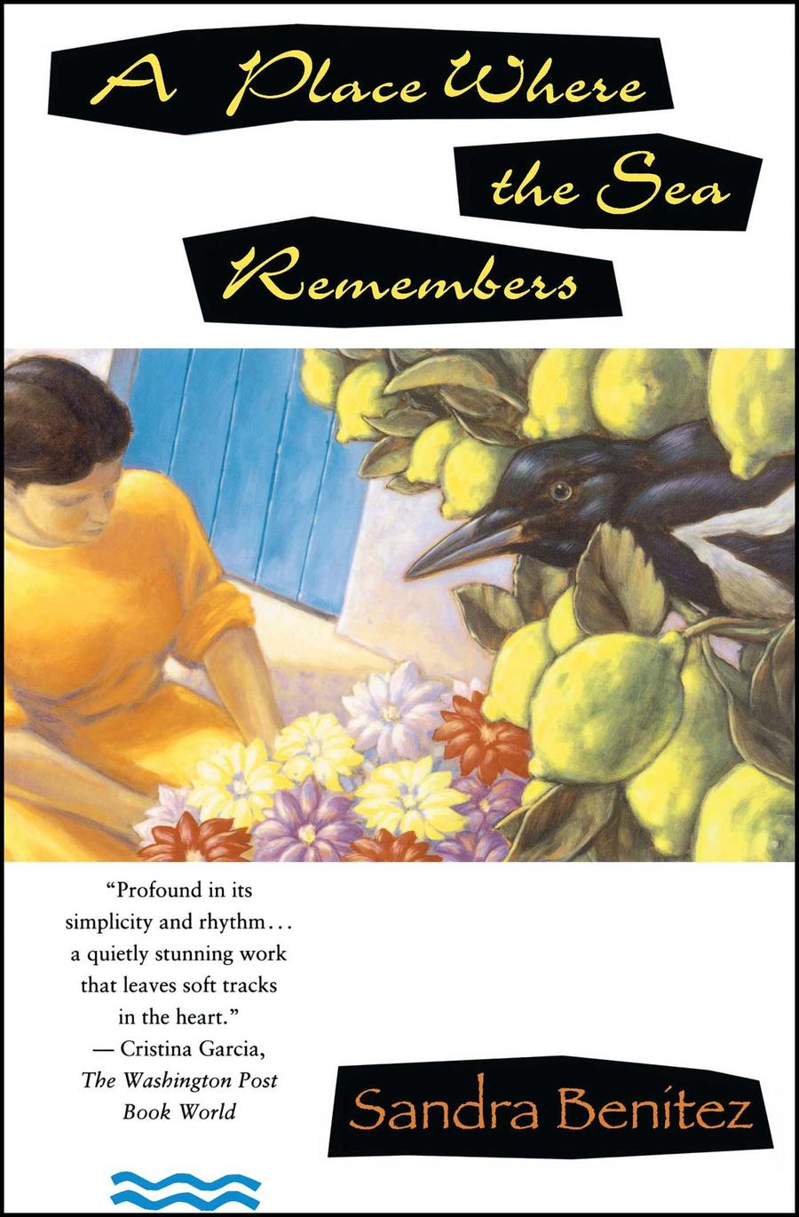 Place Where the Sea Remembers-Fiction: general and literary-買書書 BuyBookBook