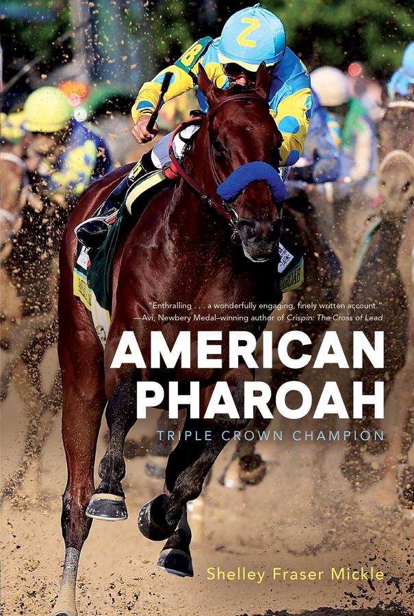 American Pharoah-Children’s / Teenage: Other general interest-買書書 BuyBookBook