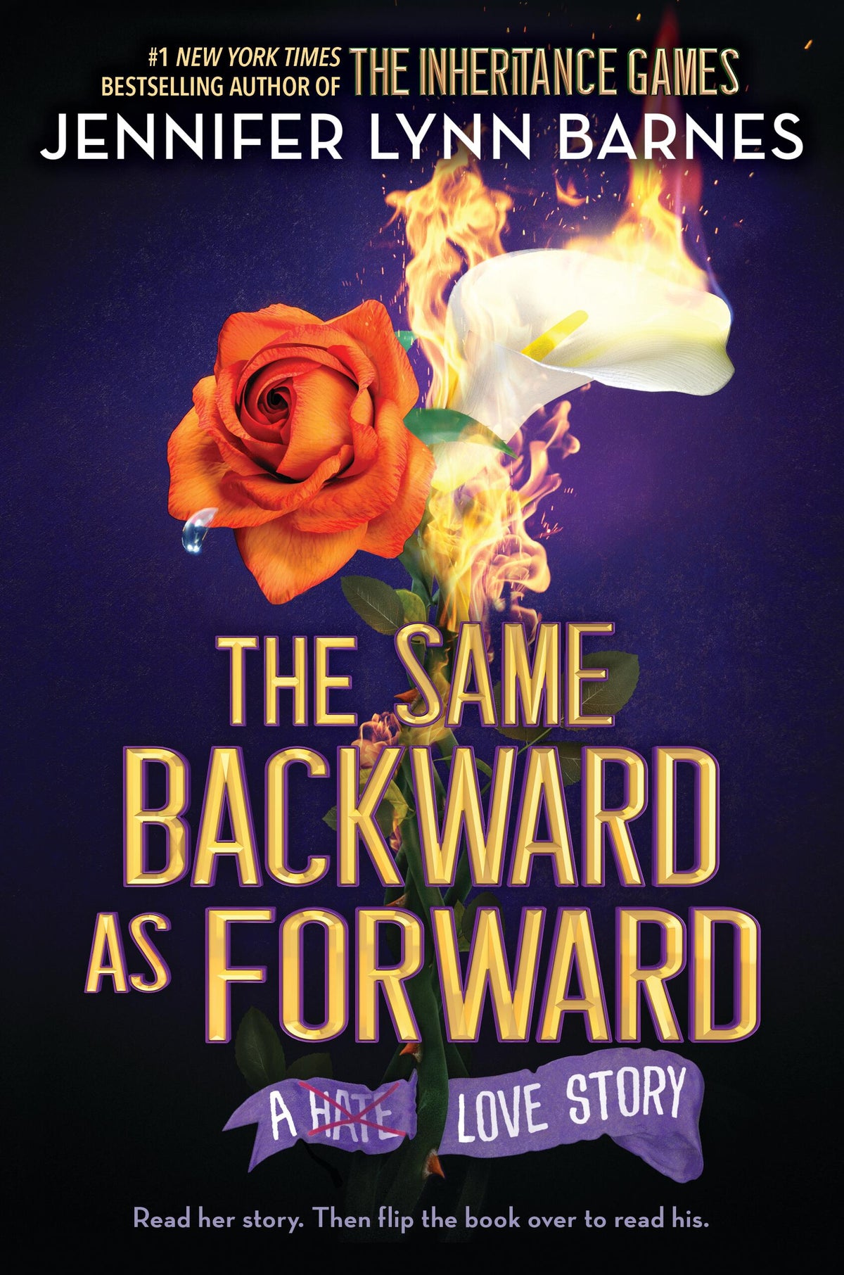 Paperback / softback