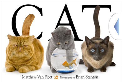 Cat-Children’s interactive and activity books and kits-買書書 BuyBookBook