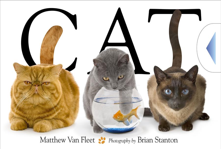 Cat-Children’s interactive and activity books and kits-買書書 BuyBookBook