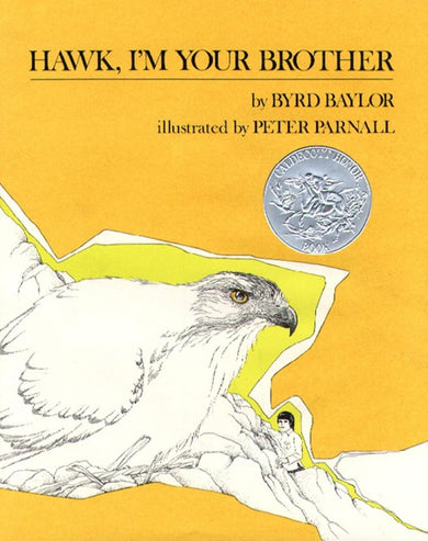 Hawk, I'm Your Brother-Children’s / Teenage fiction: General and modern fiction-買書書 BuyBookBook
