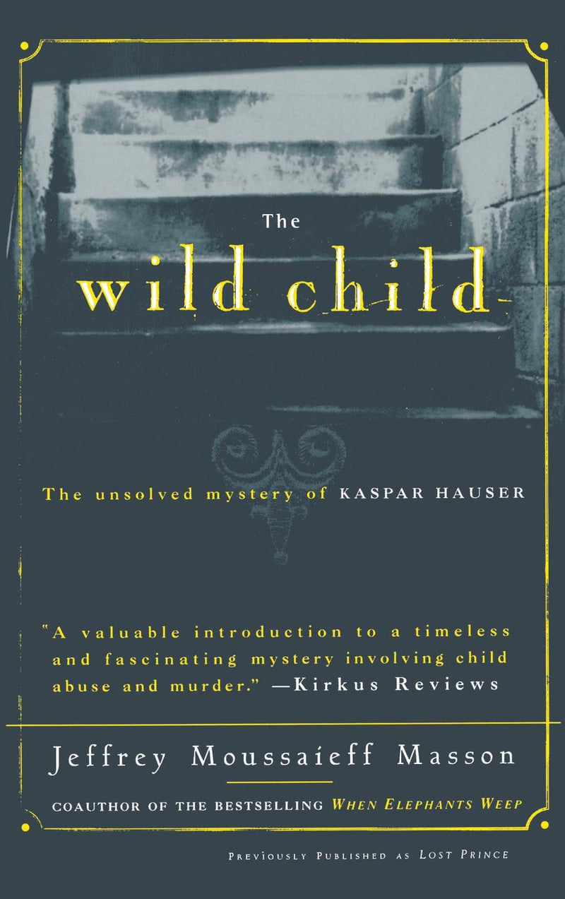 The Wild Child-Self-help/ personal development/ practical advice-買書書 BuyBookBook