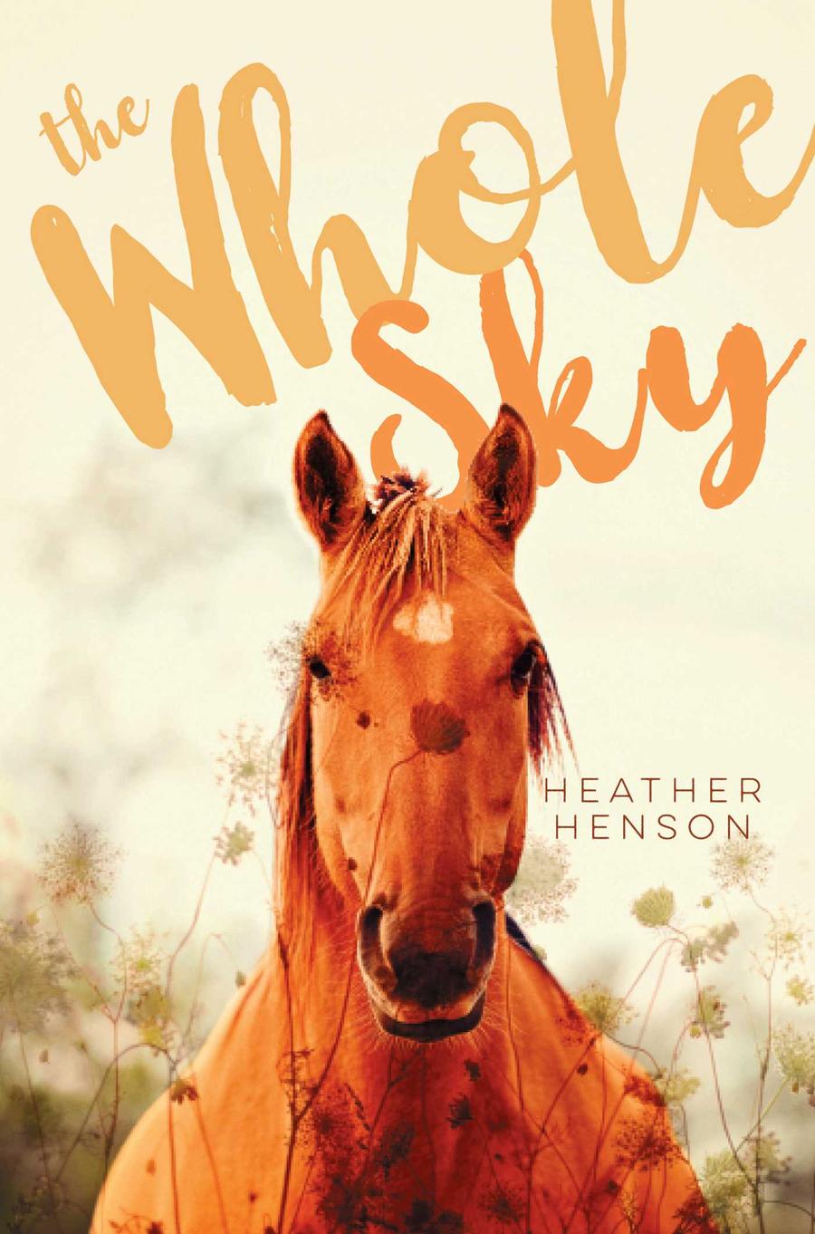 The Whole Sky-Children’s / Teenage fiction: General and modern fiction-買書書 BuyBookBook