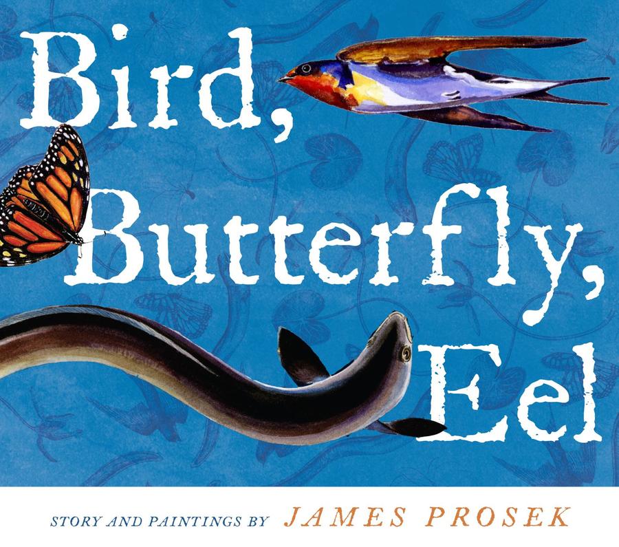 Bird, Butterfly, Eel-Children’s picture books-買書書 BuyBookBook