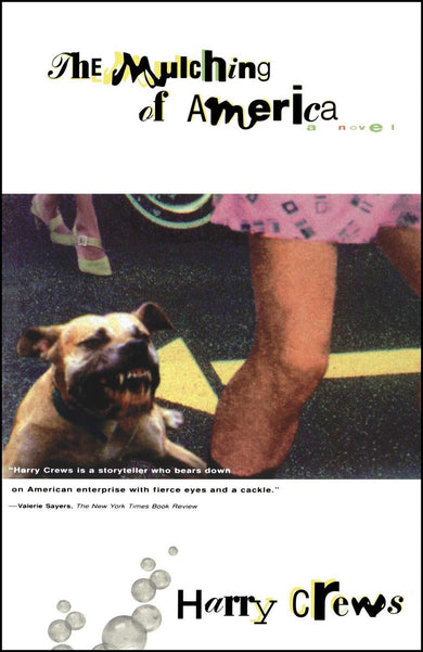 The Mulching of America-Fiction: general and literary-買書書 BuyBookBook