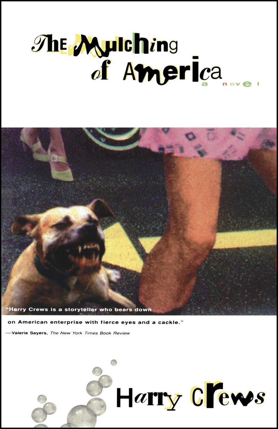 The Mulching of America-Fiction: general and literary-買書書 BuyBookBook