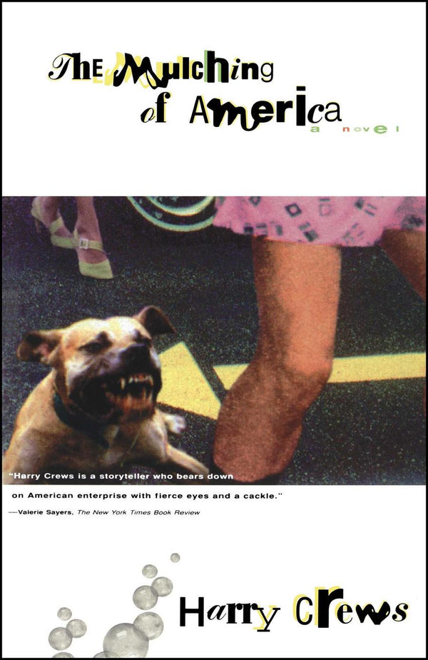 The Mulching of America-Fiction: general and literary-買書書 BuyBookBook