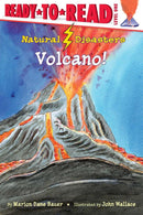 Volcano!-Children’s / Teenage fiction: General and modern fiction-買書書 BuyBookBook