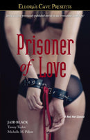 Prisoner of Love-Fiction: Modern and contemporary-買書書 BuyBookBook