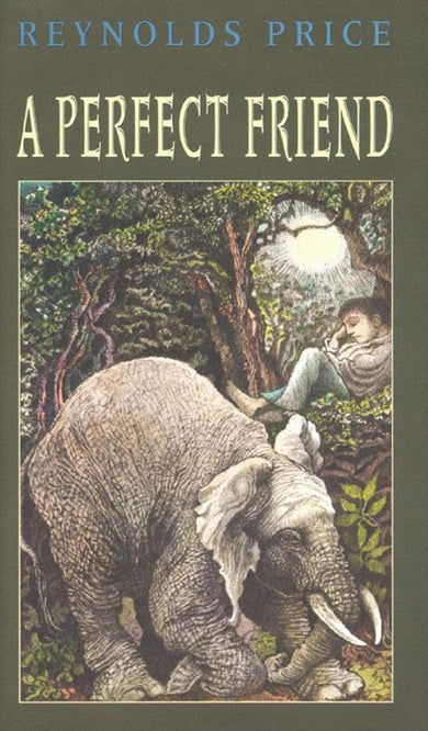 A Perfect Friend-Children’s / Teenage fiction: Family and home stories-買書書 BuyBookBook