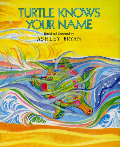 Turtle Knows Your Name-Children’s / Teenage fiction: General and modern fiction-買書書 BuyBookBook