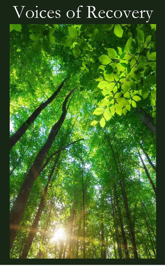 Voices of Recovery-Self-help/ personal development/ practical advice-買書書 BuyBookBook