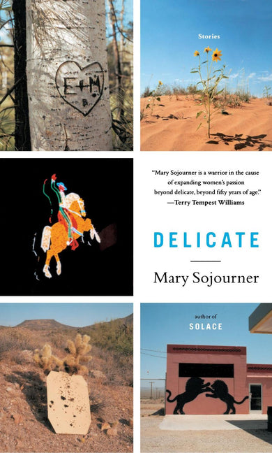 Delicate-Fiction: Modern and contemporary-買書書 BuyBookBook