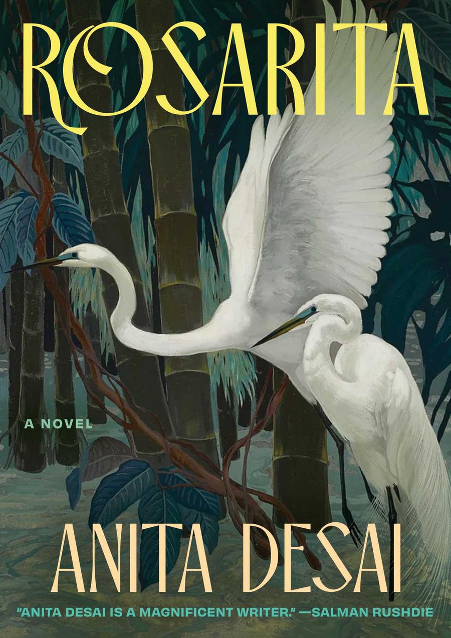Rosarita-Fiction: general and literary-買書書 BuyBookBook