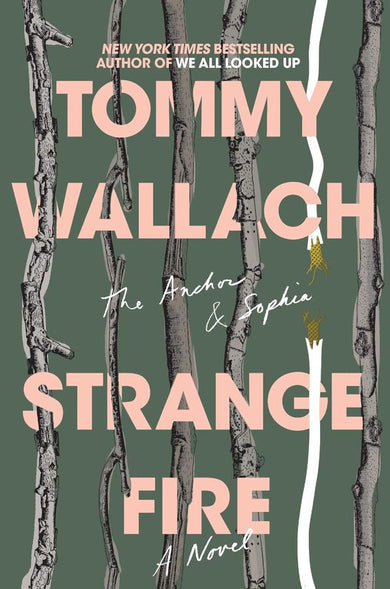 Strange Fire-Children’s / Teenage fiction: General and modern fiction-買書書 BuyBookBook