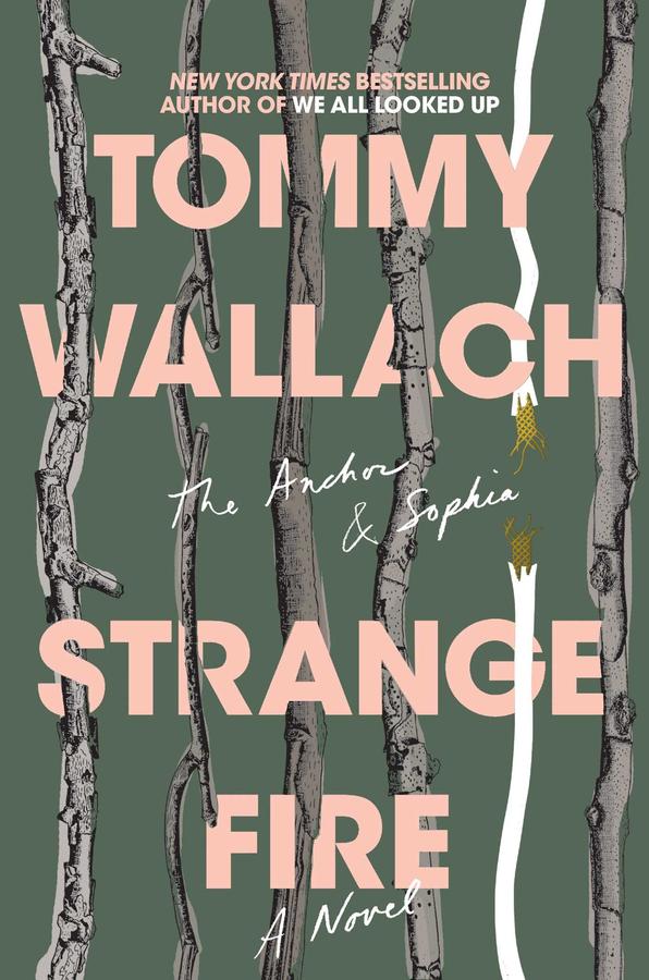 Strange Fire-Children’s / Teenage fiction: General and modern fiction-買書書 BuyBookBook