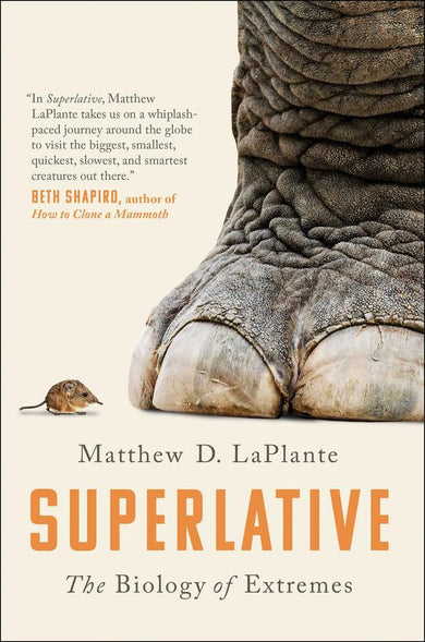 Superlative-Mathematics and Science-買書書 BuyBookBook