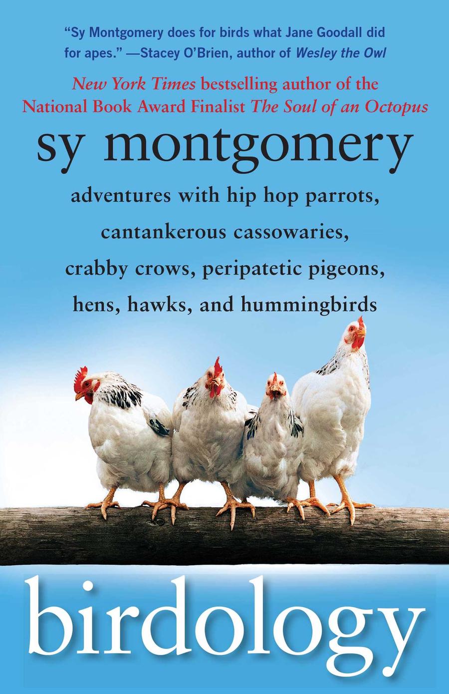 Birdology-Mathematics and Science-買書書 BuyBookBook