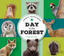 Animal Adventures: Day in the Forest-Children’s Early years / early learning concepts-買書書 BuyBookBook
