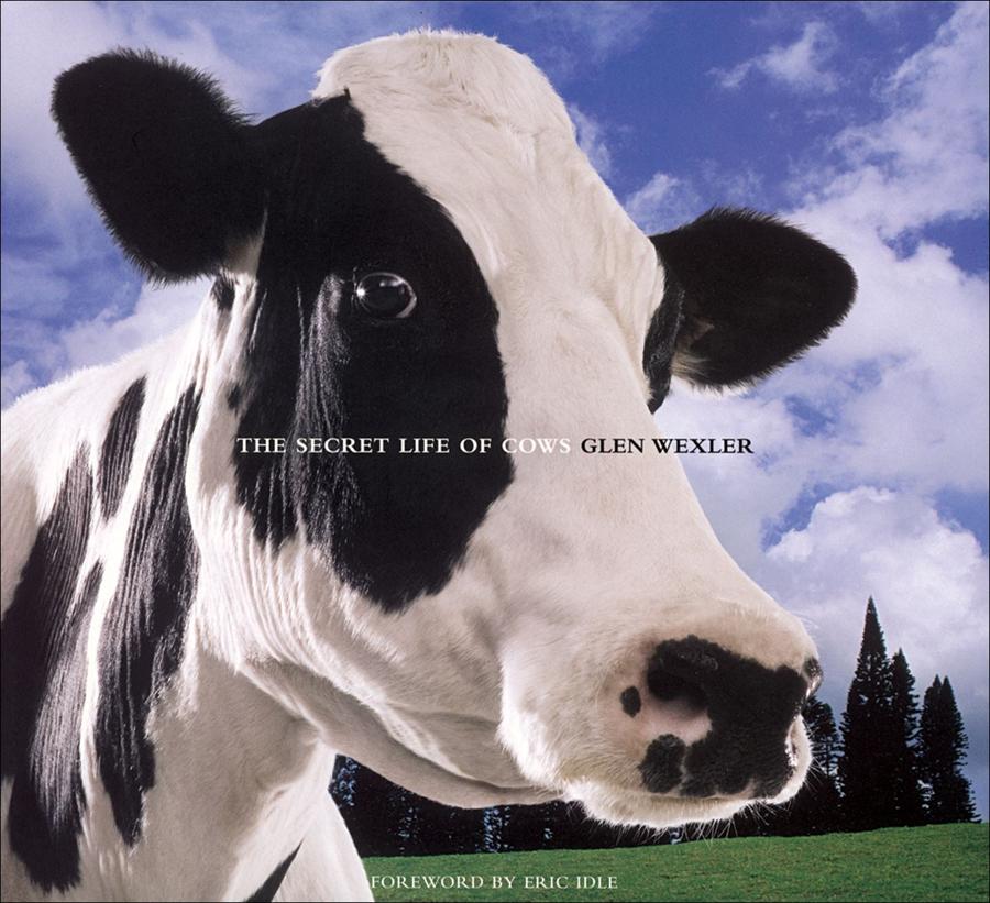 The Secret Life of Cows-Lifestyle and Leisure-買書書 BuyBookBook