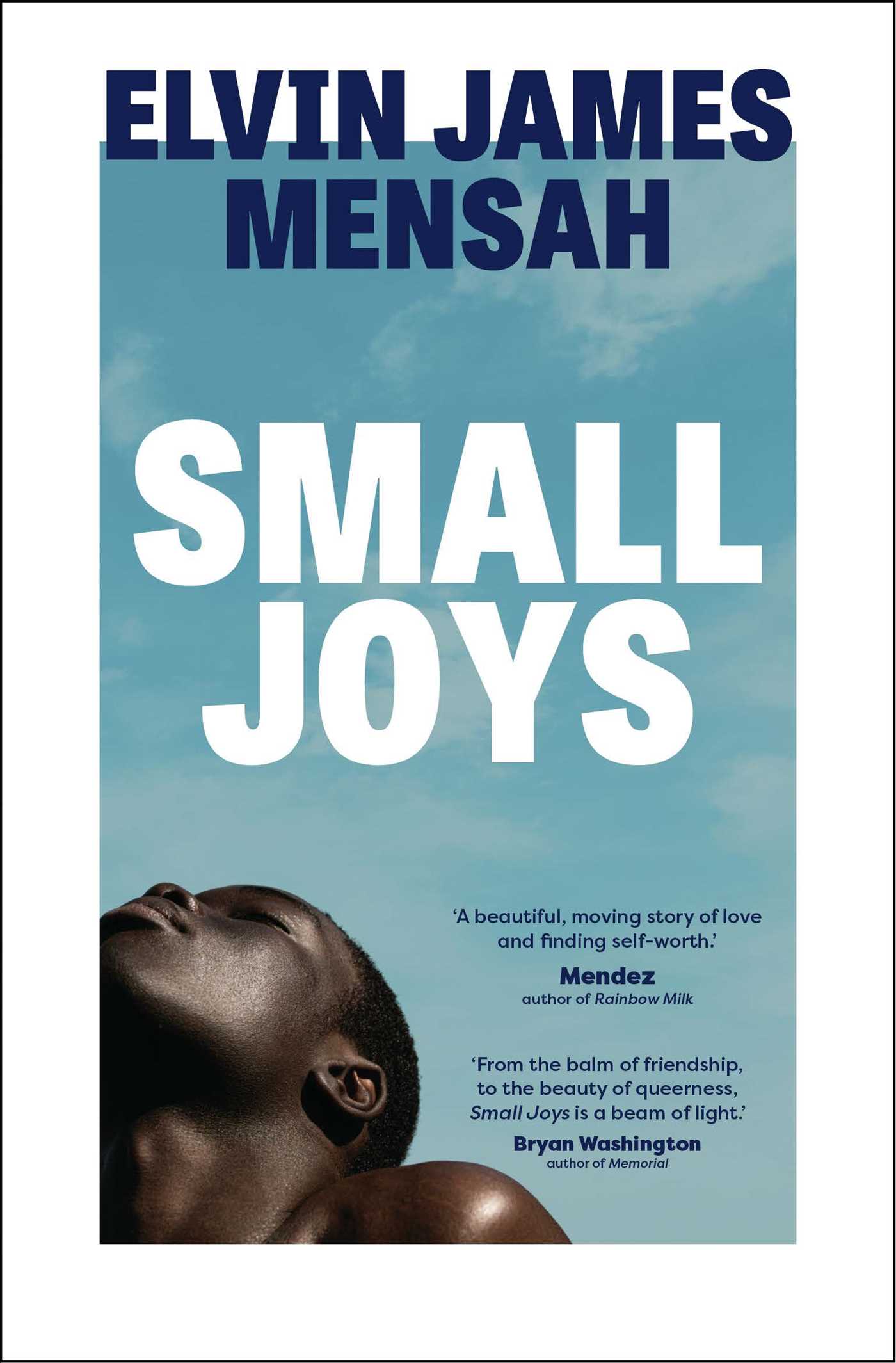 Small Joys-Fiction: general and literary-買書書 BuyBookBook