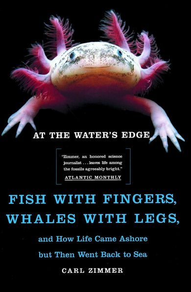 At the Water's Edge-Mathematics and Science-買書書 BuyBookBook