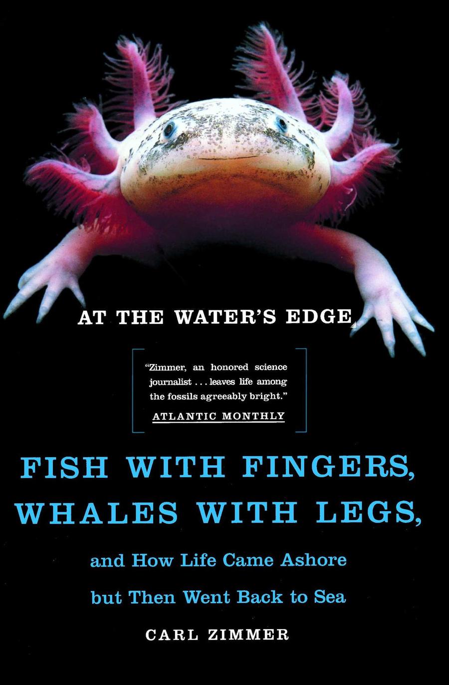 At the Water's Edge-Mathematics and Science-買書書 BuyBookBook