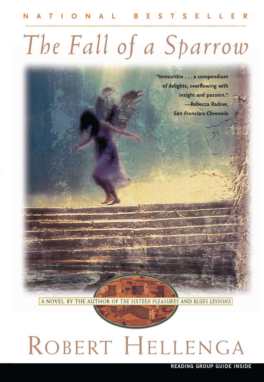 The Fall of a Sparrow-Fiction: general and literary-買書書 BuyBookBook