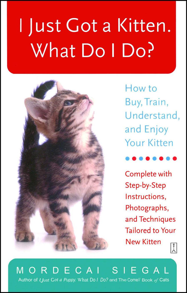 I Just Got a Kitten. What Do I Do?-Reference/ Information/ Interdisciplinary subjects-買書書 BuyBookBook
