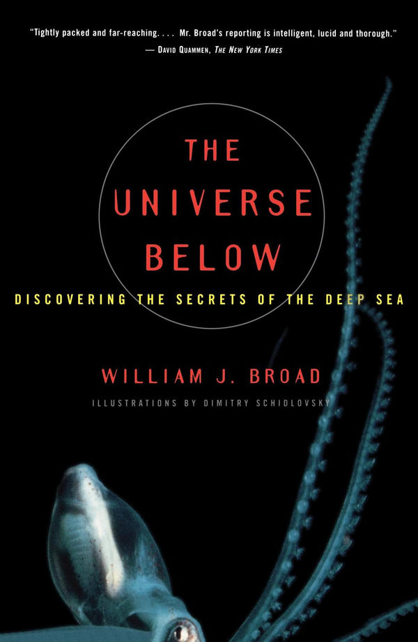 The Universe Below-Earth Sciences/ Geography/ Environment/ Planning-買書書 BuyBookBook