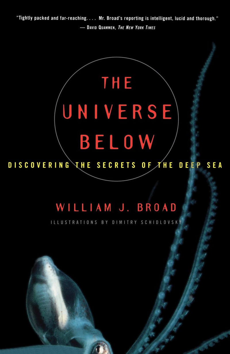 The Universe Below-Earth Sciences/ Geography/ Environment/ Planning-買書書 BuyBookBook