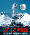 Volcano-Children’s / Teenage general interest: Nature and animals-買書書 BuyBookBook